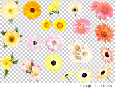 Spring flower illustration material set (pink and yellow) 122510809