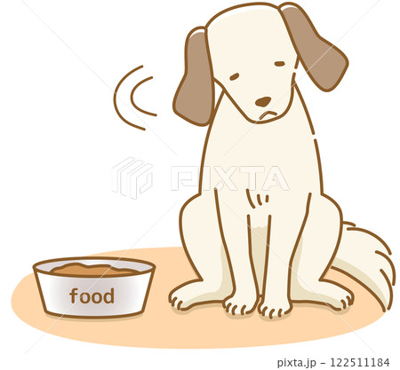 餌を食べない嫌がる食べたくない食欲がない耳の垂れた犬 餌を食べない嫌がる食べたくない食欲がない耳の垂れた犬 122511184