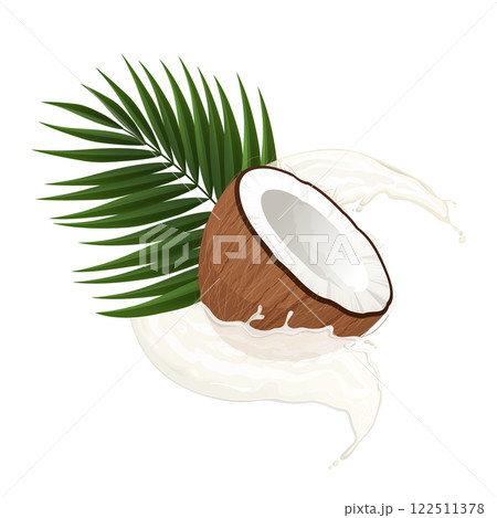 Fresh coconut half submerged in splashing coconut milk with palm leaf Fresh coconut half submerged in splashing coconut milk with palm leaf 122511378