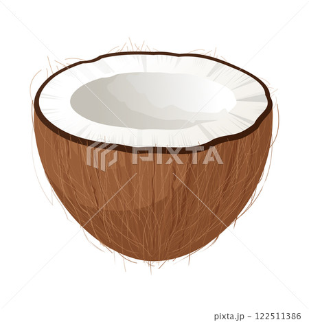 Half of coconut showing white flesh and brown hairy shell on white background Half of coconut showing white flesh and brown hairy shell on white background 122511386