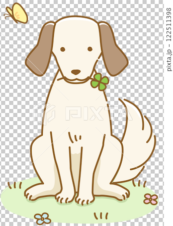 A floppy-eared dog holding a four-leaf clover in a garden 122511398