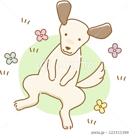 庭で仰向けに寝転がる耳の垂れた犬 122511399