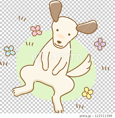 庭で仰向けに寝転がる耳の垂れた犬 122511399