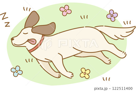 庭で幸せそうに昼寝をする耳の垂れた犬 庭で幸せそうに昼寝をする耳の垂れた犬 122511400