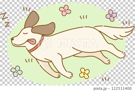 庭で幸せそうに昼寝をする耳の垂れた犬 庭で幸せそうに昼寝をする耳の垂れた犬 122511400