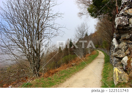 果てしない道　カミーノ（サンティアゴ巡礼） 122511743