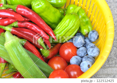 家庭菜園の収穫 122512425