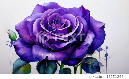 紫の薔薇 紫の薔薇 122512464