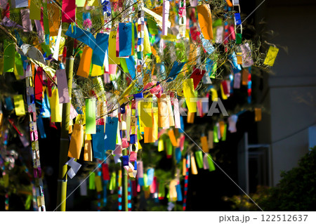 七夕飾り・・8 七夕飾り・・8 122512637