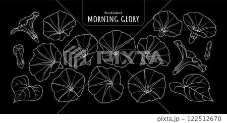 Set of isolated Morning Glory. Cute flower illustration in hand drawn style. White outline on a black plain background. Set of isolated Morning Glory. Cute flower illustration in hand drawn style. White outline on a black plain background. 122512670