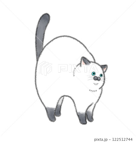 縦に伸びる猫 122512744