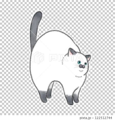 縦に伸びる猫 122512744