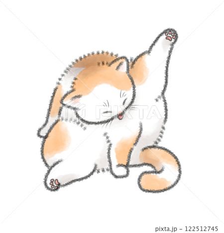 毛づくろいする猫 122512745