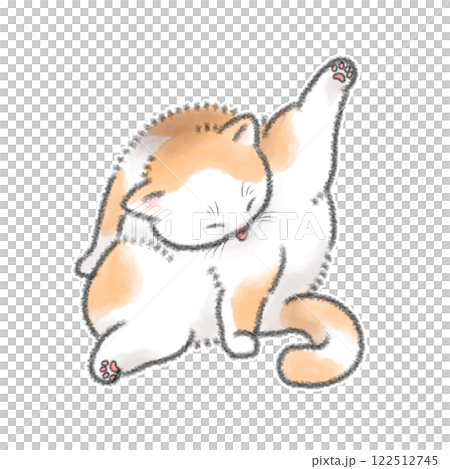 毛づくろいする猫 122512745