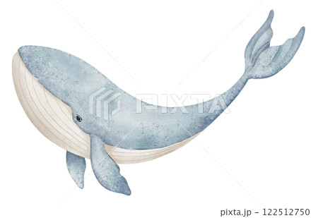 Watercolor illustration of Whale in pastel blue colors for nursery wall art or kids greeting cards. Drawing of underwater mammal animal for Baby shower invitations or childish room posters. 122512750