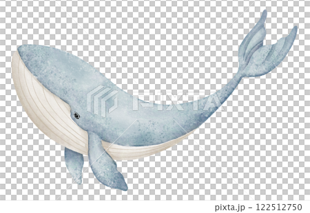 Watercolor illustration of Whale in pastel blue colors for nursery wall art or kids greeting cards. Drawing of underwater mammal animal for Baby shower invitations or childish room posters. 122512750