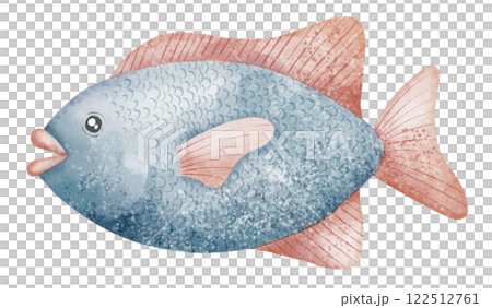 Watercolor illustration of Tropical Fish in blue and red pastel colors. Drawing of sea underwater animal for childish greeting cards or nursery wall art. Art for baby shower invitations. 122512761