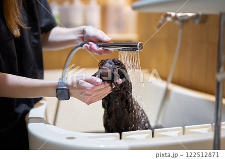 Dog bath experience in a grooming salon at midday 122512871