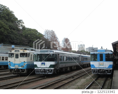 徳島駅に並ぶJR四国の気動車と特急やくおうじ号 122513341