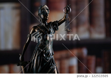 Law and wisdom. Statue of Lady Justice near shelves with books. 122513505