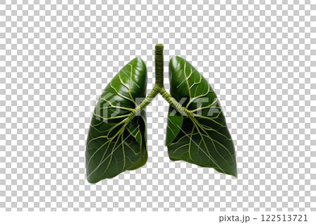 Lungs made out of green leaves, vibrant green on transparency background PNG 122513721