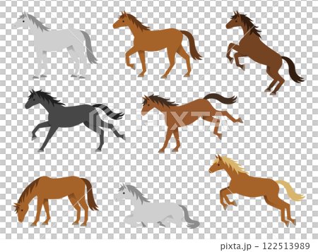 Illustration set of horses of various coat colors (standing, walking, running, jumping, kicking, eating grass, sitting) 122513989