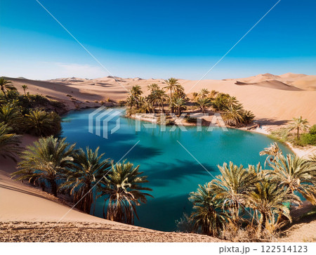 砂漠のオアシス 122514123