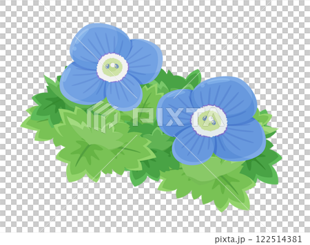 オオイヌノフグリのイラスト 122514381