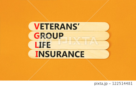 VGLI Veterans Group Life Insurance symbol. Concept word VGLI Veterans Group Life Insurance on sticks. Beautiful orange background. Business VGLI Veterans Group Life Insurance concept. Copy space. 122514481