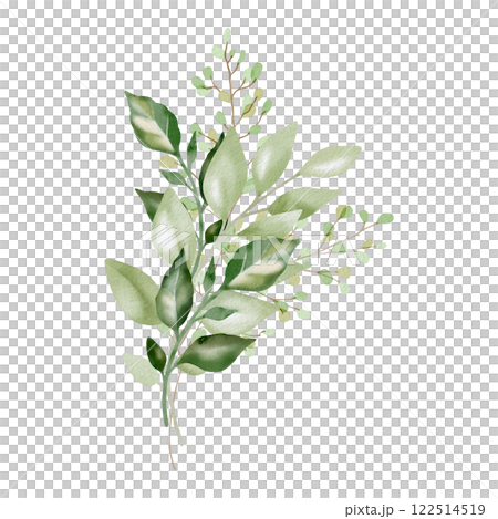 Hand-drawn watercolor illustration of elegant eucalyptus branches with lush, aromatic leaves. Perfect for wedding invitations, botanical prints, minimalist home decor, romantic greeting cards. 122514519