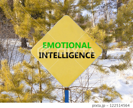 EI emotional intelligence symbol. Concept words EI emotional intelligence on yellow road sign. Beautiful forest snow sky background. Business psychology EI emotional intelligence concept. Copy space 122514564