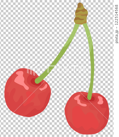 さくらんぼのイラスト ベクター素材 122514568