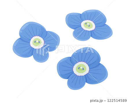 オオイヌノフグリの花のイラスト 122514589