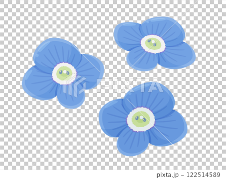 オオイヌノフグリの花のイラスト 122514589