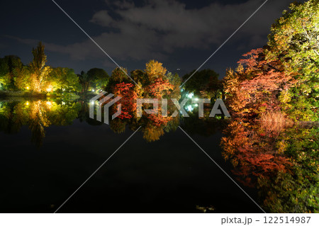 北海道　札幌　中島公園　ライトアップ　紅葉  122514987