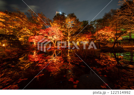 北海道　札幌　中島公園　ライトアップ　紅葉  122514992