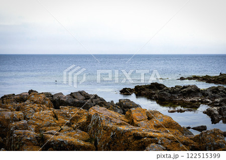 Coast line of sea. Stones covered with yellow and green moss and cloudy sky. 122515399