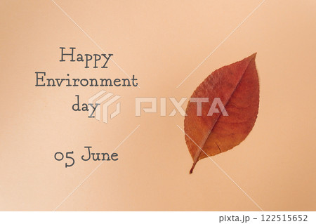 The leaf is the main focus of the image 122515652