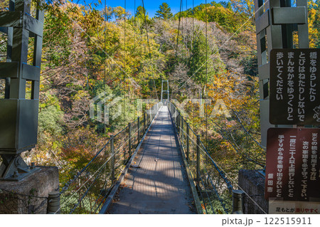 飯田市の名勝天龍峡の紅葉の始まった木々と天竜川に架かるつつじ橋の風景(長野県) 飯田市の名勝天龍峡の紅葉の始まった木々と天竜川に架かるつつじ橋の風景(長野県) 122515911