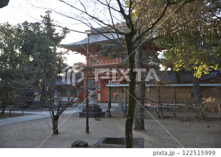 今宮神社 参道から見る楼門6 今宮神社 参道から見る楼門6 122515999