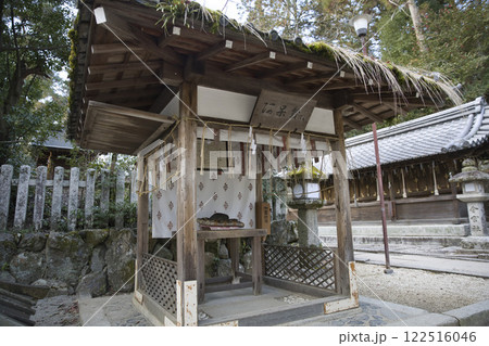今宮神社　早朝の境内　阿保賢（あほかし）さん1 122516046
