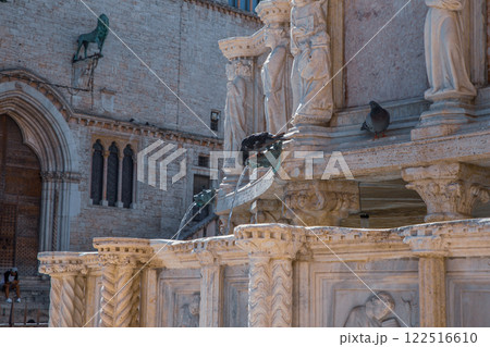 Thirsty pigeons refresh Thirsty pigeons refresh 122516610