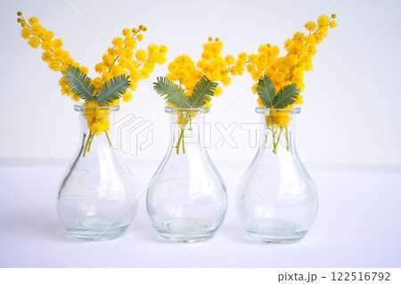 花瓶に挿したミモザ 花瓶に挿したミモザ 122516792