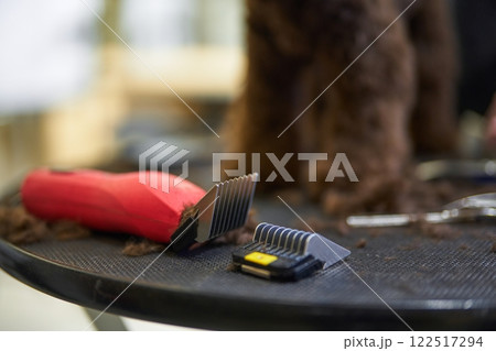 Dog grooming session with clippers and tools on a workstation 122517294