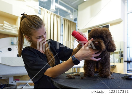 Dog grooming activity at a pet salon with a professional stylist 122517351