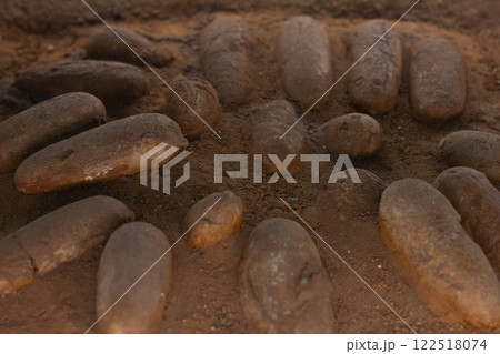 Numerous dinosaur eggs fossils are laying on a bed of sand, showcasing a remarkable paleontological discovery in a museum setting, providing a glimpse into prehistoric life. 122518074