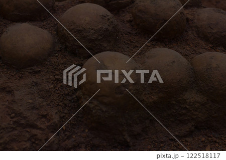 Fossilized Dinosaur Eggs. Manny fossilized dinosaur eggs are partially buried in the ground, providing evidence of ancient life and reproductive behavior from long-forgotten prehistoric eras. Fossilized Dinosaur Eggs. Manny fossilized dinosaur eggs are partially buried in the ground, providing evidence of ancient life and reproductive behavior from long-forgotten prehistoric eras. 122518117