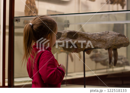 The child observes the fossil dinosaur exhibited in a glass case in the museum, contributing to curiosity and studies a natural story. Sweet little girl in the Museum of Paleontology. 122518133