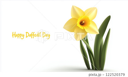 Happy Daffodil Day text with a bright yellow daffodil on a white background, symbolizing springtime and renewal 122520379
