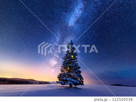 「クリスマスツリーの木」見上げる天の川と冬の景色 122520539